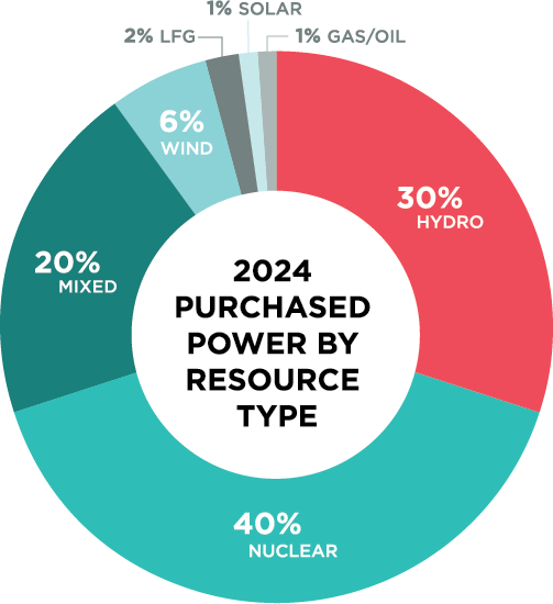 2024 Purchased Power By Resource Type